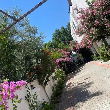 Ilirida-swimming Pool & Garden View For Rent Homestay *