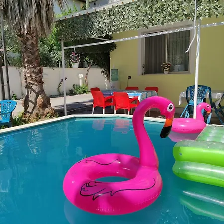 Homestay Ilirida-swimming Pool & Garden View For Rent