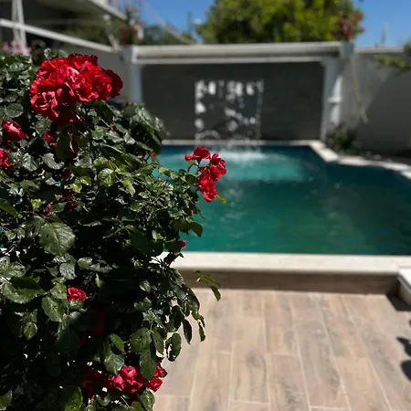 Homestay szállás Ilirida-swimming Pool & Garden View For Rent *