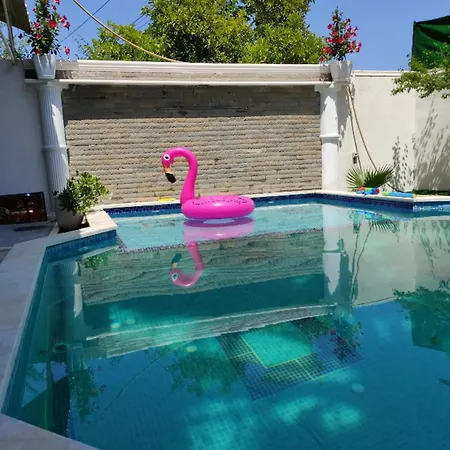 Ilirida-swimming Pool & Garden View For Rent * Durres