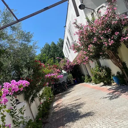 Ilirida-swimming Pool & Garden View For Rent Kwatera prywatna *